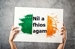 Irish language is supported but not actively used, report finds